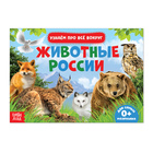 Обучающая книжка «Животные России», 18 животных - фото 8864548
