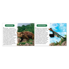 Обучающая книжка «Динозавры», 18 динозавров - Фото 2