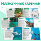Обучающие книжки набор 6 шт. «Узнаём про всё вокруг», 108 животных и птиц - Фото 5