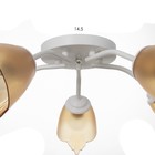 Люстра «Оникс» BayerLux 5×15 Вт E27, белый-коричневый, 52×52×15 см - Фото 6