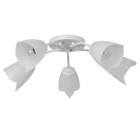 Люстра «Оникс» BayerLux 5×15 Вт E27, белый, 52×52×15 см - Фото 1