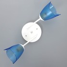 Люстра «Оникс» BayerLux 2×15 Вт E27, белый-синий, 50×15×15 см - Фото 4