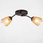 Люстра «Оникс» BayerLux 2×15 Вт E27, коричневый, 50×15×15 см - Фото 2