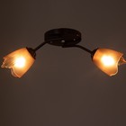 Люстра «Оникс» BayerLux 2×15 Вт E27, коричневый, 50×15×15 см - Фото 3