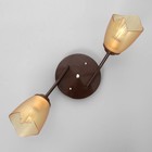 Люстра «Оникс» BayerLux 2×15 Вт E27, коричневый, 50×15×15 см - Фото 7