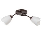 Люстра «Оникс» BayerLux 2×15 Вт E27 15 Вт, коричневый, 50×15×15 см - Фото 1