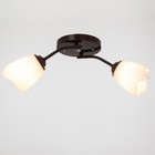 Люстра «Оникс» BayerLux 2×15 Вт E27 15 Вт, коричневый, 50×15×15 см - Фото 2