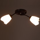 Люстра «Оникс» BayerLux 2×15 Вт E27 15 Вт, коричневый, 50×15×15 см - Фото 3