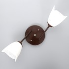 Люстра «Оникс» BayerLux 2×15 Вт E27 15 Вт, коричневый, 50×15×15 см - Фото 4