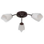 Люстра «Оникс» BayerLux 3×15 Вт E27, коричневый, 50×50×15 см - Фото 1