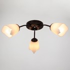 Люстра «Оникс» BayerLux 3×15 Вт E27, коричневый, 50×50×15 см - Фото 2