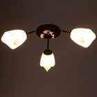 Люстра «Оникс» BayerLux 3×15 Вт E27, коричневый, 50×50×15 см - Фото 3