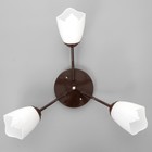 Люстра «Оникс» BayerLux 3×15 Вт E27, коричневый, 50×50×15 см - Фото 4