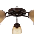 Люстра «Оникс» BayerLux 5×15 Вт E27, коричневый, 52×52×15 см - Фото 6