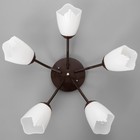 Люстра «Оникс» BayerLux 5×15 Вт E27, коричневый, 52×52×15 см - Фото 4