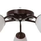 Люстра «Оникс» BayerLux 5×15 Вт E27, коричневый, 52×52×15 см - Фото 6