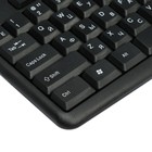 Клавиатура Defender #1 HB-420 RU, проводная, мембранная, 107 клавиш, USB, 1.5 м, черная - фото 9037691