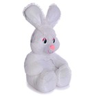 Мягкая игрушка «Заяц Ляля», 55 см, цвета МИКС - фото 8486360