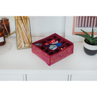 Органайзер для хранения белья «Бордо», 16 отделений, 27×25×10 см, цвет бордовый - Фото 1