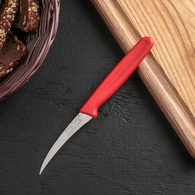Нож для чистки овощей «Эконом», лезвие 7,3 см, цвет МИКС - Фото 1