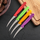 Нож для чистки овощей «Эконом», лезвие 7,3 см, цвет МИКС - Фото 2