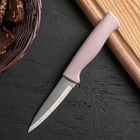 Нож для чистки овощей Доляна «Ринго», лезвие 9 см, цвет МИКС - Фото 1
