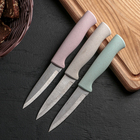 Нож для чистки овощей Доляна «Ринго», лезвие 9 см, цвет МИКС - Фото 2