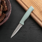 Нож для чистки рыбы Доляна «Ринго», зубчатое лезвие 9 см, цвет МИКС - фото 8865506