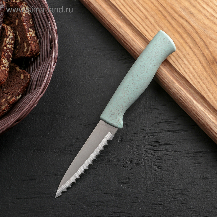 Нож для чистки рыбы Доляна «Ринго», зубчатое лезвие 9 см, цвет МИКС - Фото 1