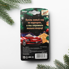 Ароматизатор в бутылочке «Пусть год успешным будет», яблоко - Фото 5