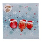 Салфетки бумажные «Новогодние птички», 33х33 см, набор 20 шт. - Фото 4