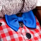 Мягкая игрушка «Басик в костюме с бантом», 19 см - Фото 4