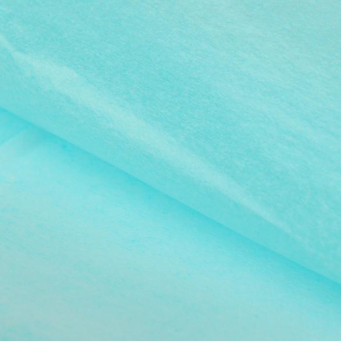 Бумага упаковочная тишью, двухсторонняя, голубая, 50 х 66 см - Фото 1