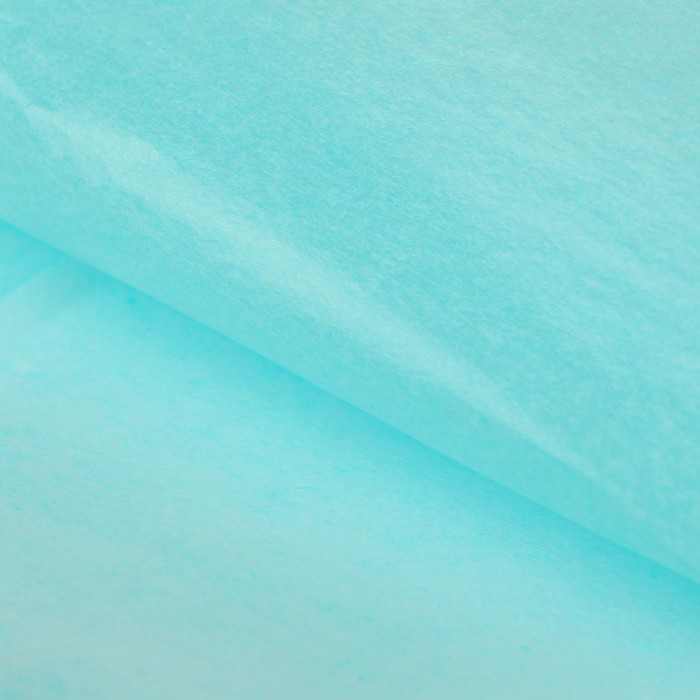 Бумага упаковочная тишью, двухсторонняя, голубая, 50×66 см - Фото 1