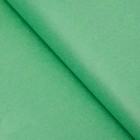 Бумага упаковочная тишью, зеленая, 50 х 66 см - Фото 1