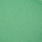 Бумага упаковочная тишью, зеленая, 50 х 66 см - Фото 2