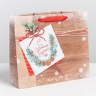 Пакет ламинированный горизонтальный «Новогоднее пожелание», ML 8 × 27 × 23 см - Фото 1