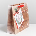 Пакет ламинированный горизонтальный «Новогоднее пожелание», ML 8 × 27 × 23 см - Фото 2