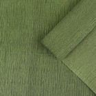 Бумага креп, простой, цвет зелёный, 0,5 х 2,5 м - Фото 1