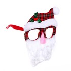 Карнавальные очки «Дедушка Мороз» - фото 8867100