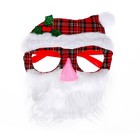 Карнавальные очки «Дедушка Мороз» - фото 34937952