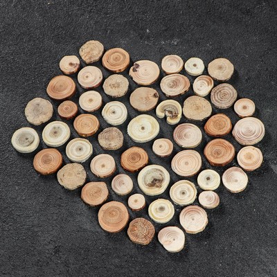 Набор круглых спилов "Ассорти лесное", акация, дуб, лиственница, ель, сосна, 50 шт