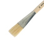 Кисть Щетина плоская №22 (ширина обоймы 22 мм; длина волоса 30 мм), деревянная ручка, Calligrata - Фото 2