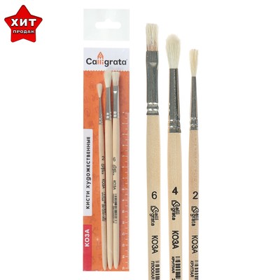 Набор кистей для рисования, коза, 3 штуки: № 2, 4 (круглые), № 6 (плоская), Calligrata, круглые, плоская, деревянная ручка, в пакете