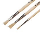 Набор кистей для рисования, коза, 3 штуки: № 2, 4 (круглые), № 6 (плоская), Calligrata, круглые, плоская, деревянная ручка, в пакете - Фото 5