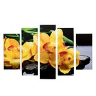 Модульная картина "Жёлтые орхидеи" (2-23х52; 2-24х70; 1-24х80) 120х80см - фото 2562279