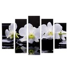 Модульная картина "Белые орхидеи у воды" (2-23х52; 2-24х70; 1-24х80) 120х80см - фото 2562287