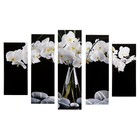 Модульная картина "Белые орхидеи" (2-23х52; 2-24х70; 1-24х80) 120х80см - фото 2562311