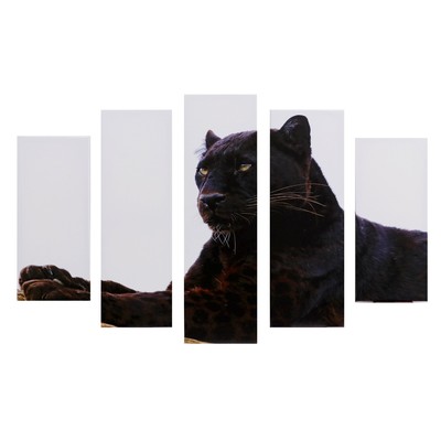 Картина модульная «Гордый леопард», 2-23×52 см, 2-24×70 см, 1-24×80 см, 120×80 см