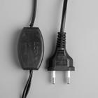 Гирлянда «Нить» 5 м с насадками «Ёлка», IP44, тёмная нить, 30 LED, свечение бело-синее, мигание, 220 В - Фото 4